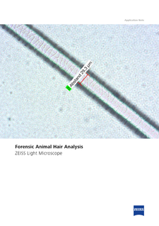Preview image of Forensic Animal Hair Analysis