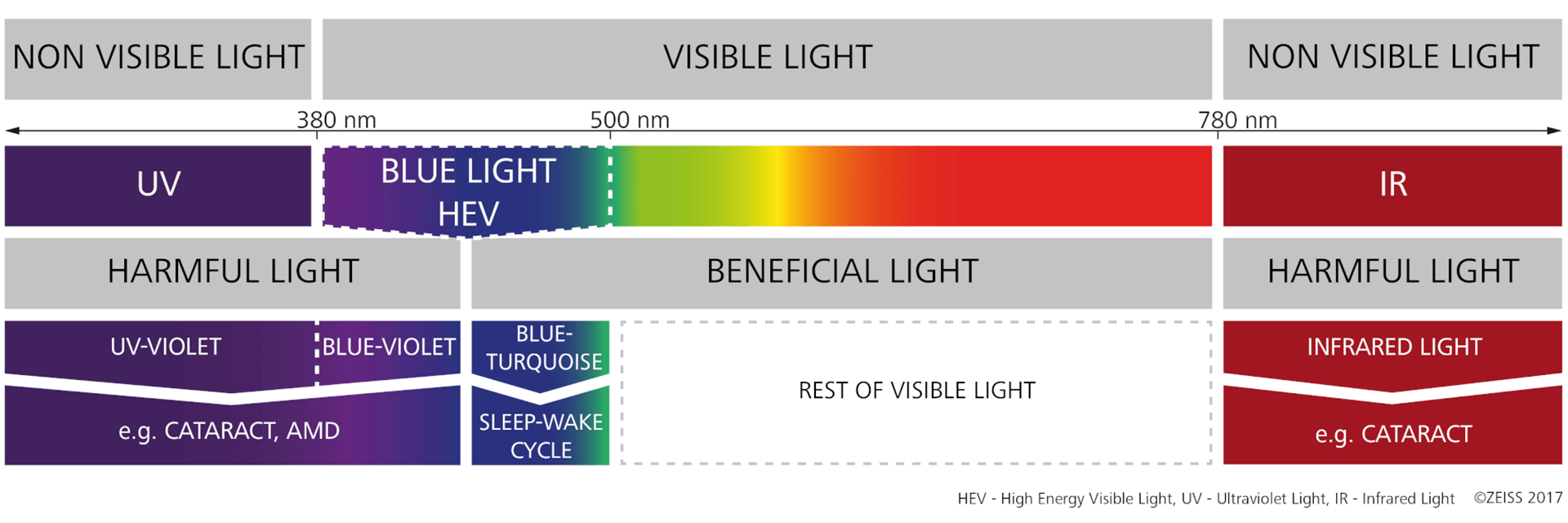 The visible spectrum