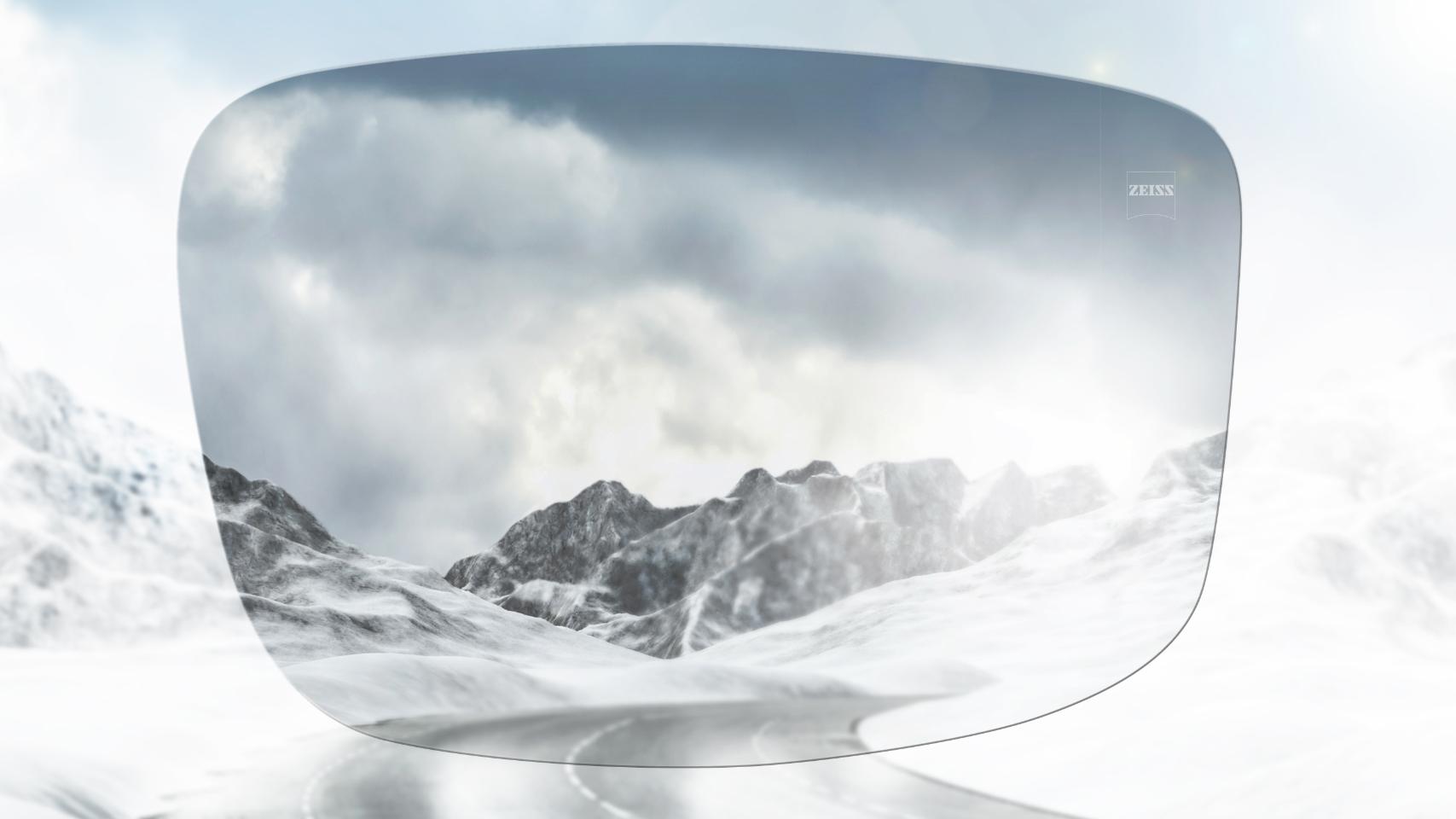 Zeiss polarized lenses outlet